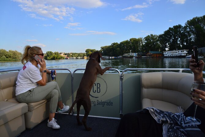 2 hours / Sightseeing Boat cruise Drinks Included - Belgrade bridges from the river: the city in motion