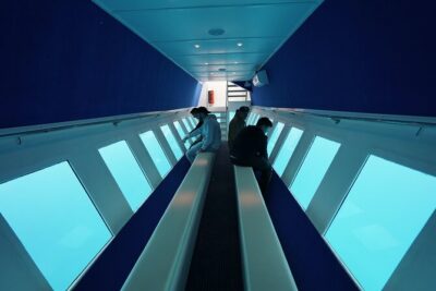 3 Hour Yellow Semi Submarine Swimming Cruise with Drinks Included! - Rhodes Sea Lines: Timing, stops, and why water time can vary