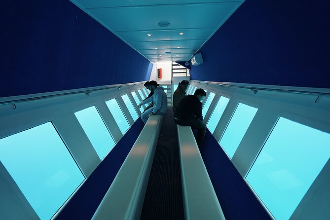 3 Hour Yellow Semi Submarine Swimming Cruise with Drinks Included! - Rhodes Sea Lines: Timing, stops, and why water time can vary