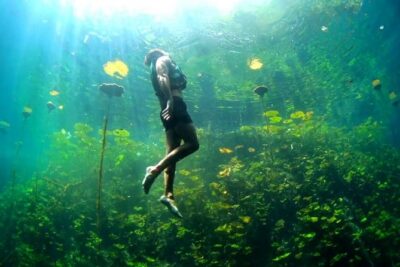 4-in-1 Cenote Tour Guided Experience with Breakfast, Lunch & Wine - Meeting Up, Pickup, and What Can Affect Your Timing