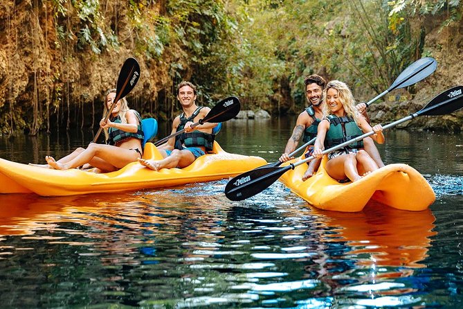 4-in-1 Cenote Tour Guided Experience with Breakfast, Lunch & Wine - The Jungle Picnic Lunch With Wine and Beer: A Real Midday Reset