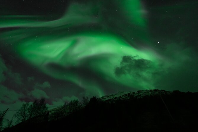 7 hours Tromsø Aurora Tour: Photos, snacks & warm drinks included - Northern Lights Bus Tour in Tromsø: Why This Format Works