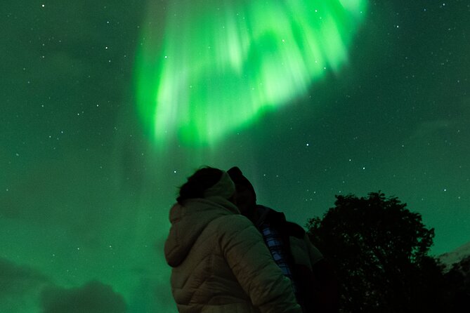 7 hours Tromsø Aurora Tour: Photos, snacks & warm drinks included - What You Really Get: Photos, Snacks, and Warm Drinks
