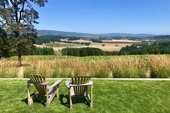 Amy & Reba's Day Drinking Wine Tours, Where we'll Drive you to Drink - Stop 3 in Dundee: your final tasting, with less fatigue and more focus