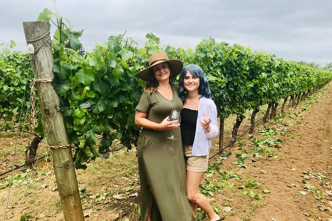 Amy & Reba's Day Drinking Wine Tours, Where we'll Drive you to Drink - The boxed lunch: included food that keeps the day pleasant