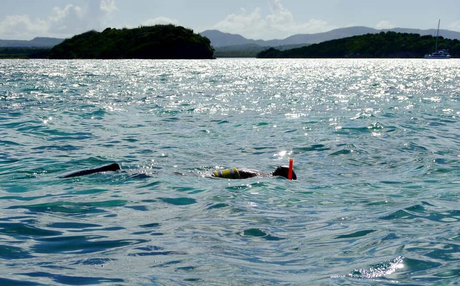 Antigua: Drink Till Your Drunk Rum Drinking & Discovery Tour - Key things to know before you go
