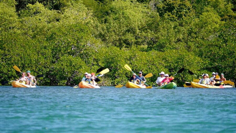 Antigua: Drink Till Your Drunk Rum Drinking & Discovery Tour - Antigua in 3.5 hours: the best kind of fast-paced day