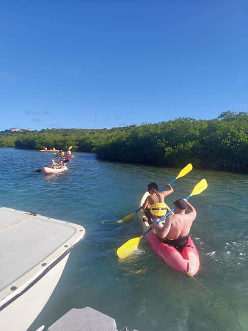 Antigua: Drink Till Your Drunk Rum Drinking & Discovery Tour - St. John’s viewpoints and Devil’s Bridge: photo stops with real payoff