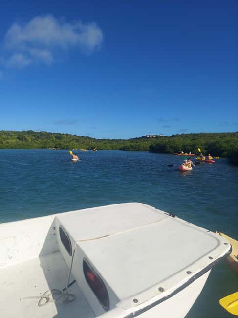 Antigua: Drink Till Your Drunk Rum Drinking & Discovery Tour - Value check: is $106 a good deal for what you get?