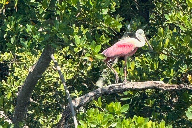 Booze Cruise & Sandbar - Stop 1: Gilbert’s Resort for tiki-bar classic mode