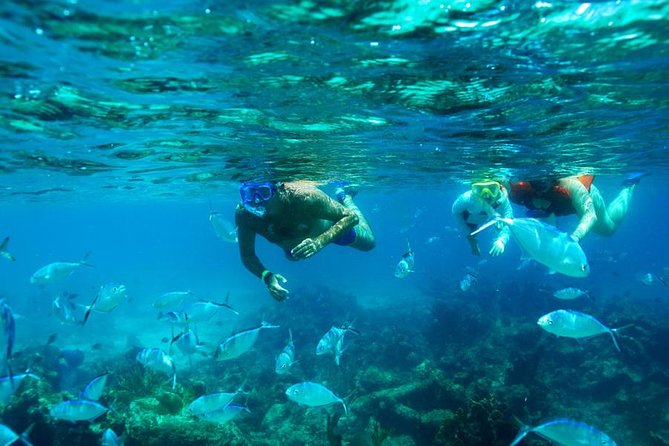 Catamaran Booze Cruise And Snorkeling Punta Cana - Adults Only - Key things to know before you go