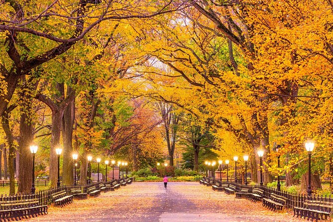 Central park Tour happy hour Pedicab tour - Key points before you go