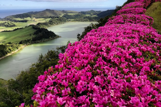 Full Day Jeep Tour Furnas with lunch (Cozido) and drinks included - Key Things to Know Before You Go
