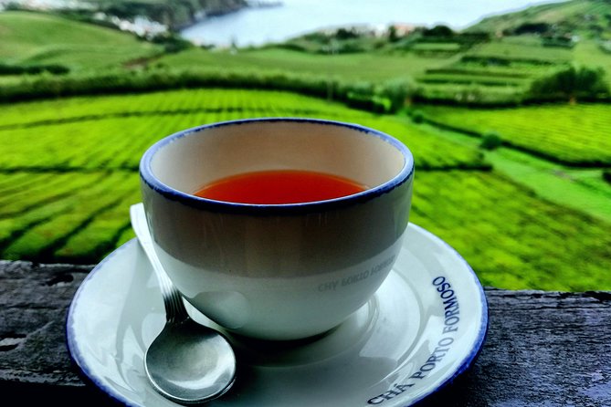 Full Day Jeep Tour Furnas with lunch (Cozido) and drinks included - Chá Gorreana Tea Plantations: Small Stop, Real Sense of Place