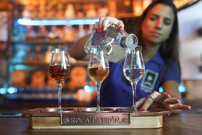 Gaslamp Quarter Food and Drink Tour: Brothels, Bites & Booze - Vegetarian and Portion Reality Check