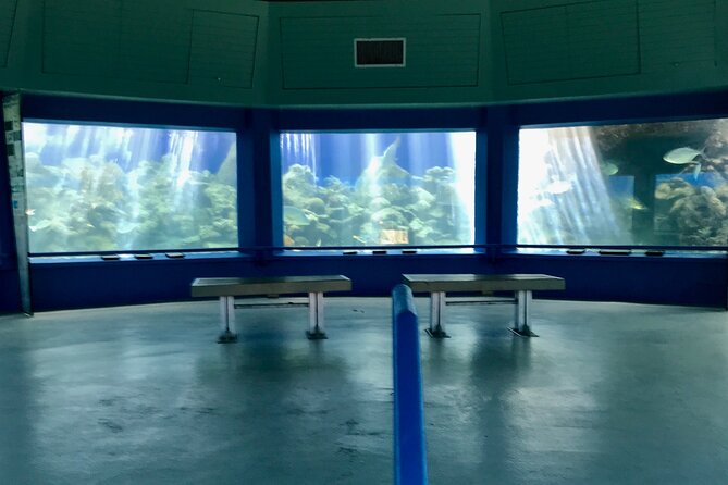 Guided Tour of Coral World Ocean Park & Happy Hour - Coral World after-hours: what this ticket really buys you