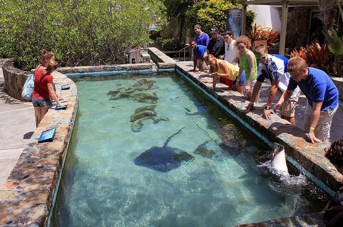 Guided Tour of Coral World Ocean Park & Happy Hour - Should you book Coral World’s guided tour with happy hour?