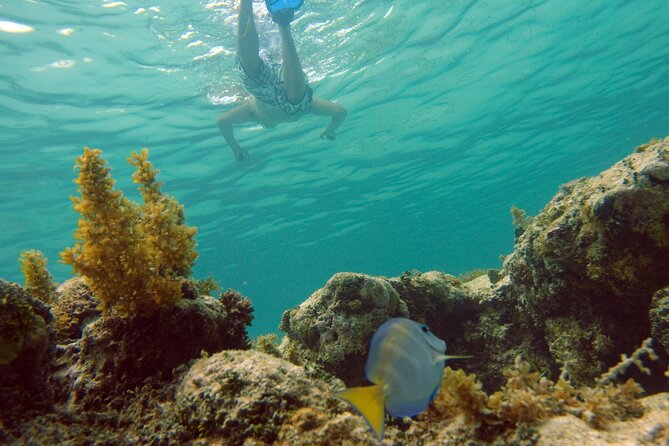 Happy Hour Party Boat With Snorkeling - Sousa Bay Catamaran Cruise: Comfort on Deck, Breeze Off the Water
