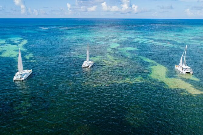 Happy Hour Party Boat With Snorkeling - Adults-Only Vibe: Who This Party Boat Suits Best