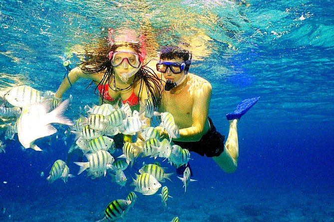 Happy Hour Party Boat With Snorkeling - Unlimited Drinks and Snacks: What You’ll Actually Be Eating and Drinking