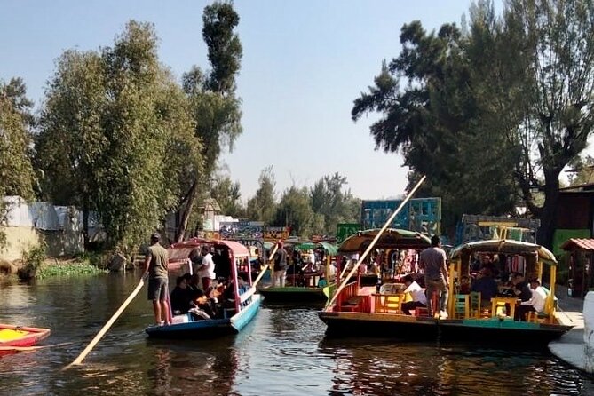Mixology, Food, Wine and Beer Experience in Xochimilco - Small-Group Energy: When the Team Matters