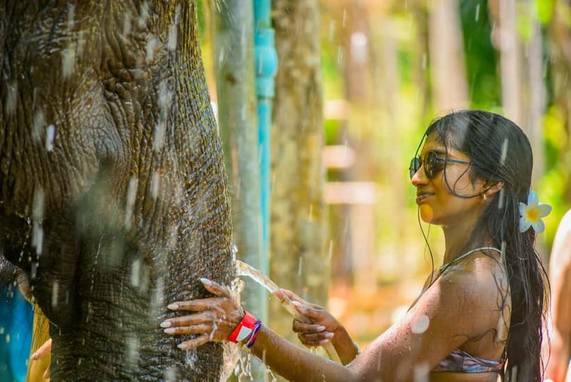 Phuket: Happy Hour Feed and Rain Shower with Elephant - The 1-hour flow: feeding, washing, and a rain shower