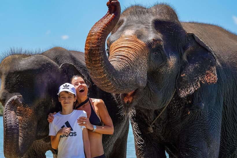 Phuket: Happy Hour Feed and Rain Shower with Elephant - What’s not included (and what to plan for)