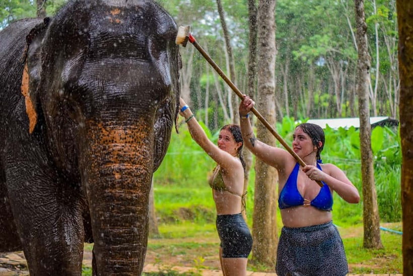 Phuket: Happy Hour Feed and Rain Shower with Elephant - Who this suits best (and who might want to skip it)