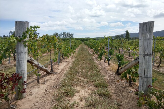 Port Macquarie Wine and Beer, Hastings Tasting Trail Tour - Comfort and small-group logistics that actually matter