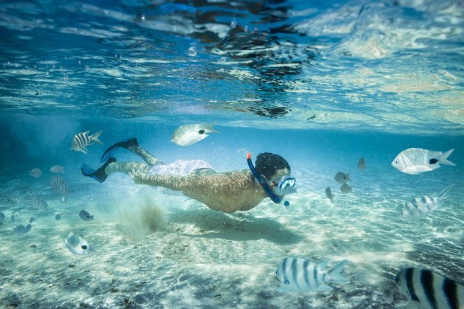 Punta Cana Booze Cruise with Snorkeling, Natural Pool & Open Bar - Quick hits before you go