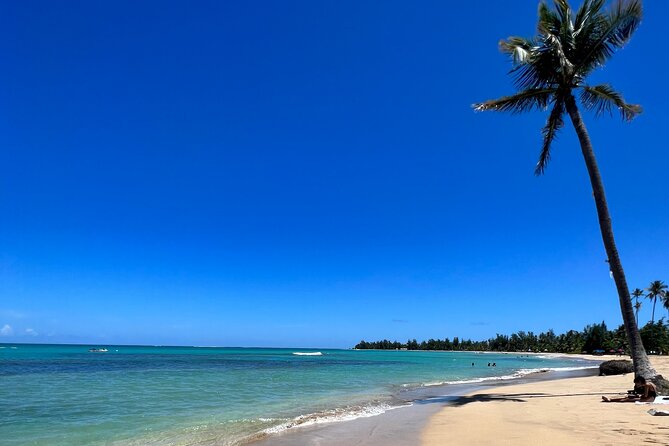 Rainforest Waterfall Slides/Adult Drinks included/ Beach - Key things that make this tour worth your time