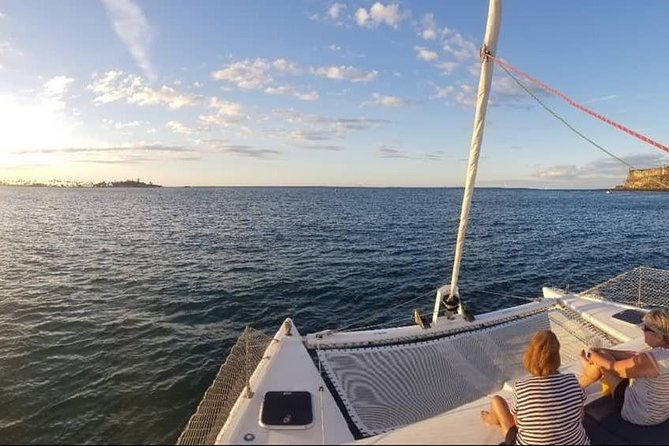 San Juan Bay Day Sail with Drinks Included - The 90-minute sailing flow: harbor time, photo moments, and sea-life chances