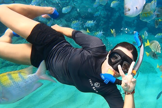 Snorkeling On Chilean Beach Transportation And Drinks Included - Key highlights