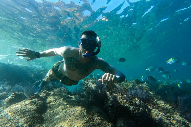 Snorkeling On Chilean Beach Transportation And Drinks Included - Group size and English support: who this tour is best for