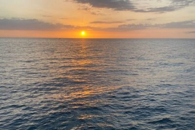 Sunset Booze Cruise in Negril - Onboard Drinks: Rum Punch, Beer, Shots, and the Bottles That Make It Matter