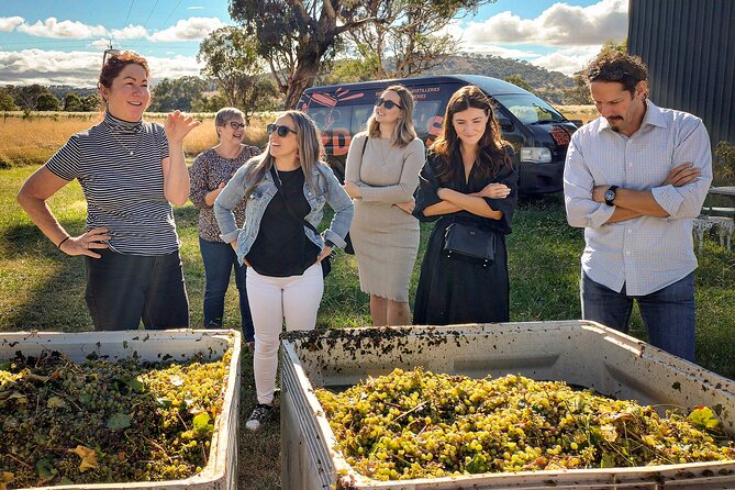 Sydney Grains and Grapes Hunter Valley Wine and Beer with Lunch - Key points to know before you go