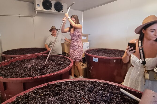 Sydney Grains and Grapes Hunter Valley Wine and Beer with Lunch - First winery stop: vineyard or production tour plus tasting