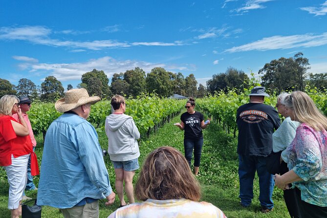 Sydney Grains and Grapes Hunter Valley Wine and Beer with Lunch - Lunch stop at a winery: shared meals and an easy social pace