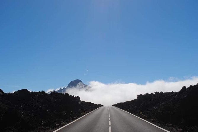 TEIDE NIGHT Astronomy Stargazing Bus Tour, Meal & Drinks included! - Constellations with lasers: the difference between seeing stars and understanding them