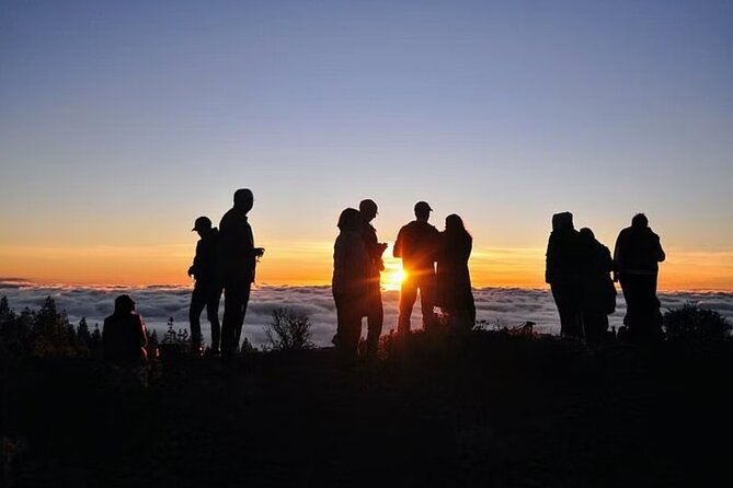 TEIDE NIGHT, Stargazing Bus Tour, Meal & Drinks included! - Group size and the equipment reality