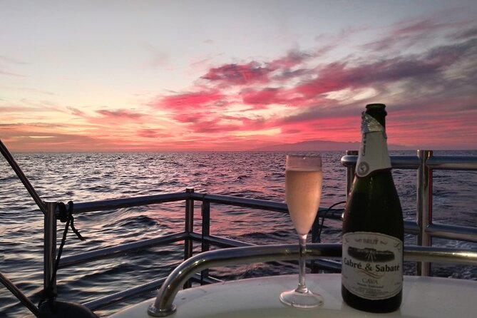 Tenerife Sunset Catamaran tour with transfer - Food and Drinks included. - Food and drinks: the value is in staying fed and hydrated