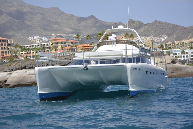 Tenerife Sunset Catamaran tour with transfer - Food and Drinks included. - Onboard Wi‑Fi, restroom, and that small-group feeling