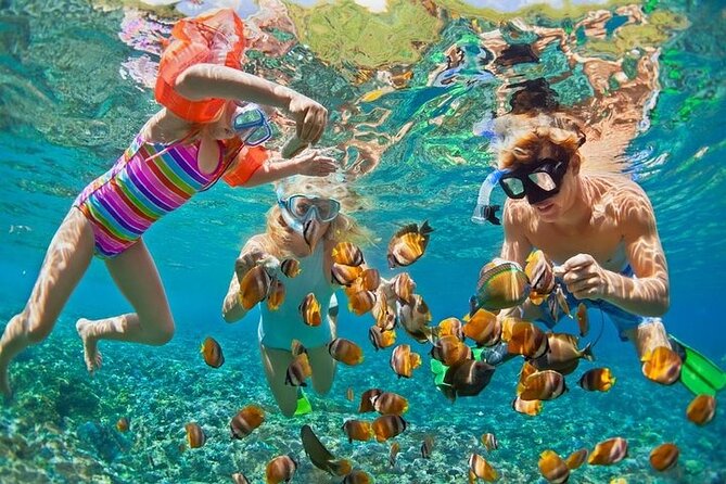 Tropical Punta Cana Booze Cruise – Snorkel, Sandbar & Party Vibes - Why This Punta Cana Cruise Feels Like More Than Just Drinks