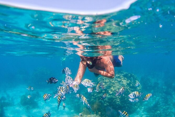 Tropical Punta Cana Booze Cruise – Snorkel, Sandbar & Party Vibes - Value Check: Is $69 Worth It in Real Life?