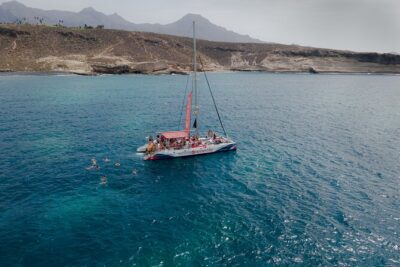 Watching and Listening Whales visiting Los Gigantes&Masca. Food&drinks included - On board vibes: crew, comfort, and the “listen for it” factor