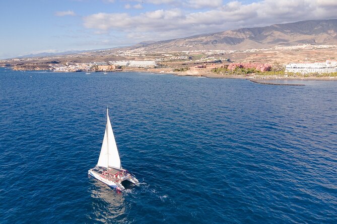 Watching and Listening Whales visiting Los Gigantes&Masca. Food&drinks included - Timing, weather, and what “5 hours” actually means for you