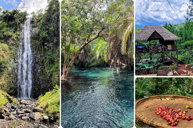 Waterfall, coffee tour & hot springs - lunch and drinks included - Quick Highlights