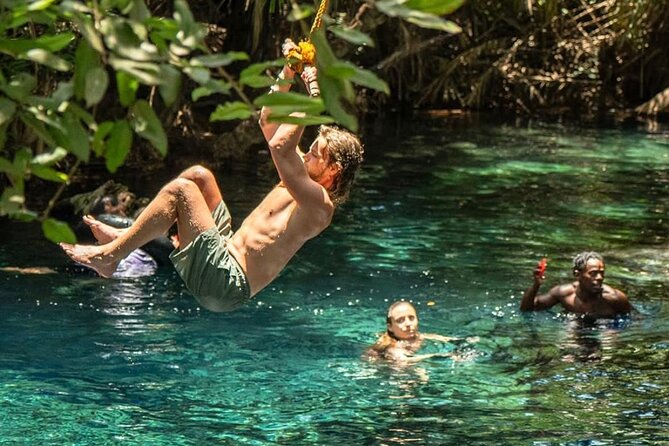 Waterfall, coffee tour & hot springs - lunch and drinks included - Stop 1: The Materuni Waterfalls Walk (and What You Might See)