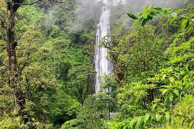 Waterfall, coffee tour & hot springs - lunch and drinks included - Guide Frank and the Small Things That Make the Day Feel Smooth