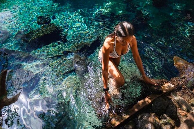 Waterfall, coffee tour & hot springs - lunch and drinks included - Price and Value: Why $99 Can Actually Make Sense